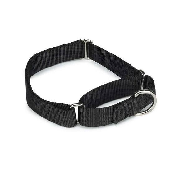 PetEdge GG Nylon Martingale Collar 18-26In Blk