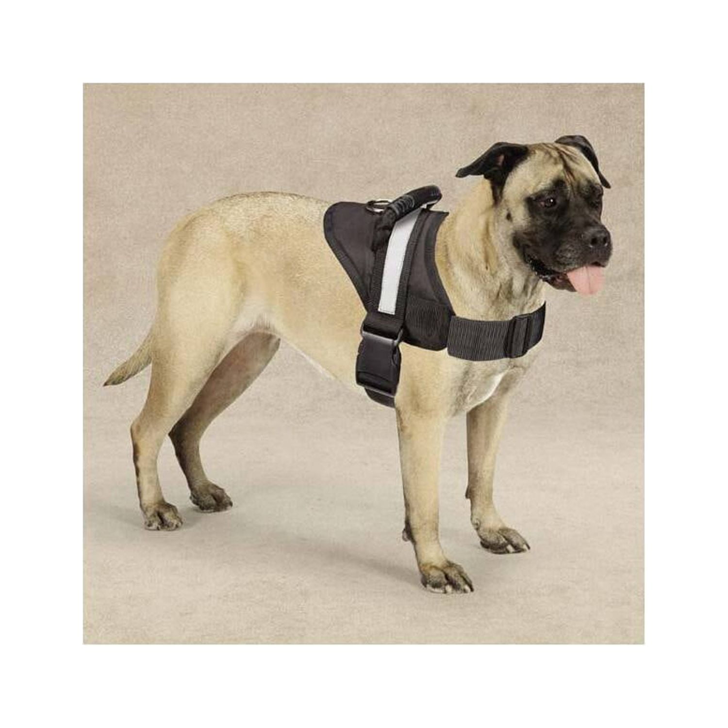 Guardian Gear GG Excursion Harness 20-26In M Blk