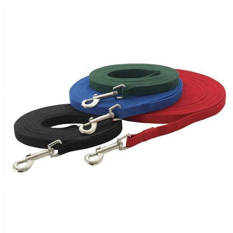 GG Collar & Leash