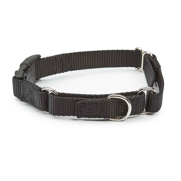 PetEdge TP1510 10 17 10-16 in. Guardian Gear Martingale Pet Collars with Quick Release Buckle, Black