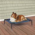 thumbnail image 1 of Guardian Gear Guardian Gear Pet Cot Blue M, 1 of 3
