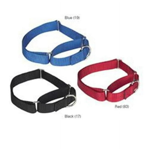 Guardian Gear Nylon Martingale Collar 18-26 In Black