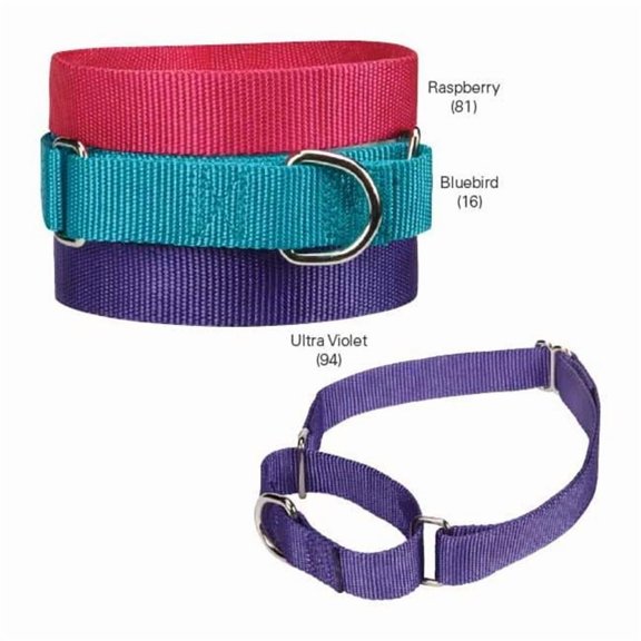 Guardian Gear Nylon Martingale Dog Collar LG Raspb