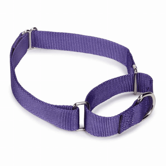 Guardian Gear Nylon Martingale Dog Collar SM Viole