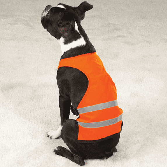 Guardian Gear Safety Vest for Dogs, 12" Small, Orange