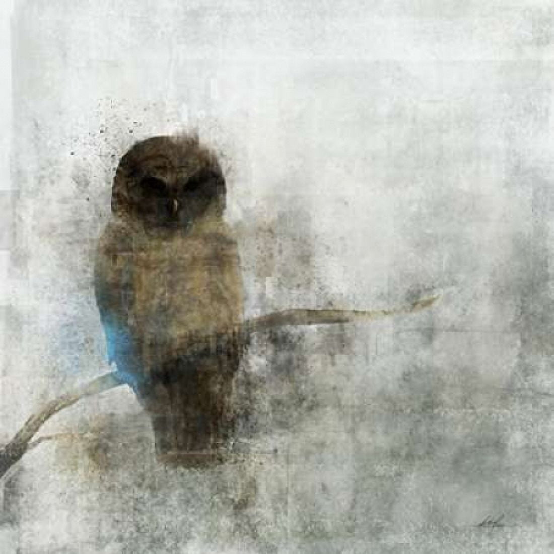 Guardian Owl Canvas Art - Ken Roko (24 x 24)