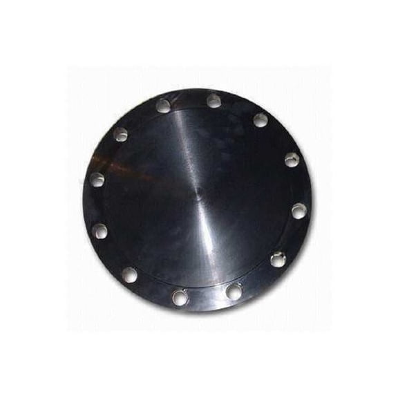 Guardianmade Blind Flange,Carbon Steel,10" NPS FLCS1RFBL1000