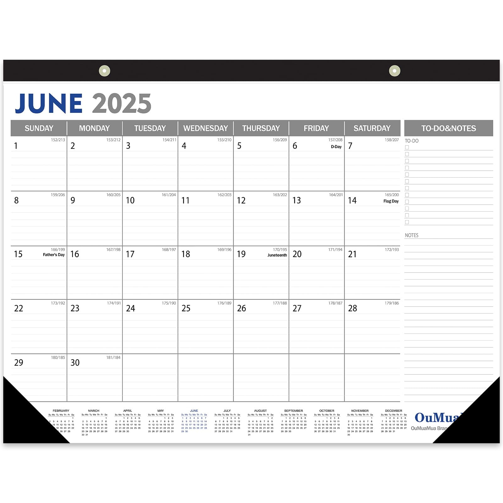 GuassLee Large Desk Calendar 2025-18 Months from Jan. 2025 through June ...