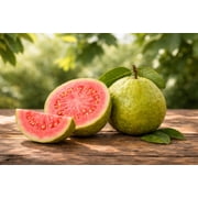 Guava Seeds for Planting 100+ Seeds 1 g for Indoor & Outdoor Gardening, Heirloom Non-GMO Guava Seeds for Home Garden Pots Backyard Greenhouse