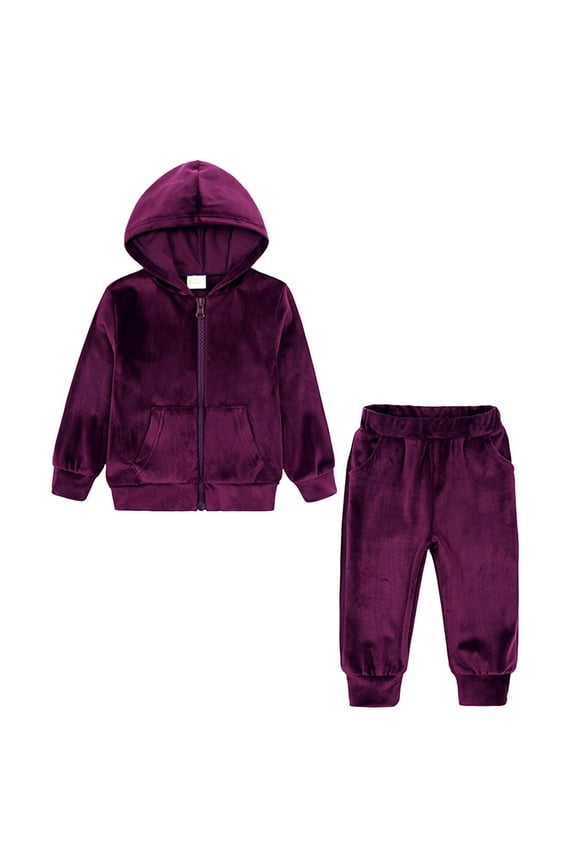 Baby Boy Clothes Hoodies Pants Set Toddler Boy Spring Fall Winter Clothes Size 12 24 Months (Purple,12-24 Months)