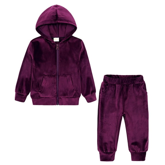 Gubotare Baby Boy Clothes Hoodies Pants Set Toddler Boy Spring Fall Winter Clothes Size 12 24 Months (Purple,12-24 Months)