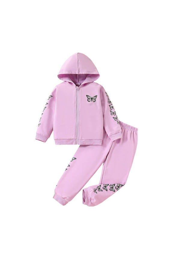 Baby Girls Clothing Sets Boys Girls 2 Pieces Sweat Suit Unisex Kids Long Sleeve Pullover Hoodie and Joggers Set Size 2T 3T (Purple,2-3 years)