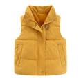 thumbnail image 1 of Gubotare Baby Puffer Vest Boys Girls Sherpa Fleece Vest Sleeveless Button Down Padded Jacket Toddler Kid Warm Waistcoat Winter Quilted Outerwear Pocket 3T 4T (Yellow,3-4 Years), 1 of 4