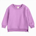thumbnail image 1 of Gubotare Baby Sweatshirt Toddler Newborn Baby Girl Sweatshirt Long Sleeve Crewneck Pullover Tops Toddler Fall Clothes 2T 3T (Purple,2-3 Years), 1 of 1