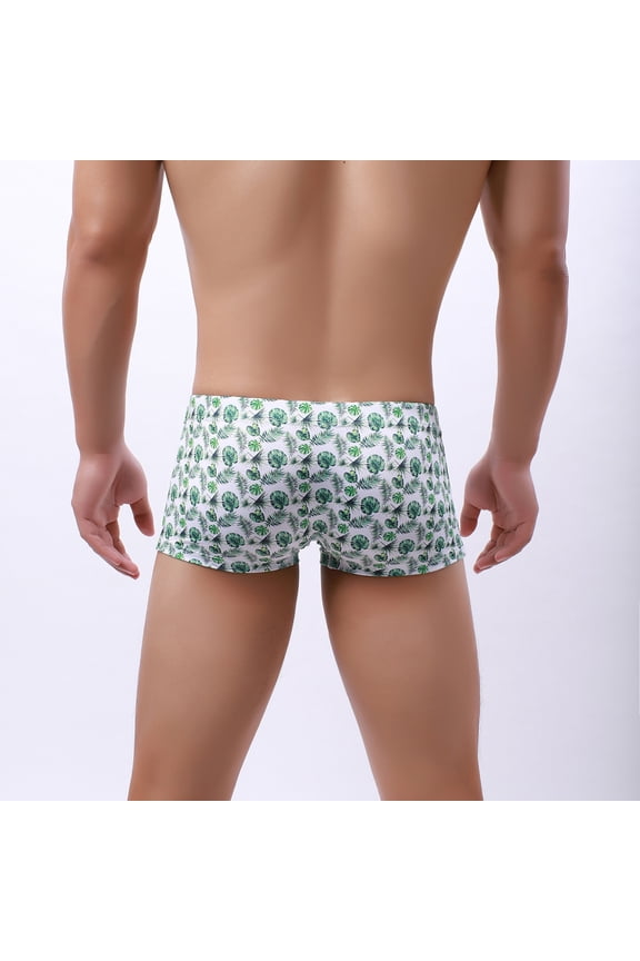 Boxer Brief For Men Men’s Ultra Soft Underwear Boxer Briefs Comfortable Bamboo Viscose Underwear,Mint Green XL