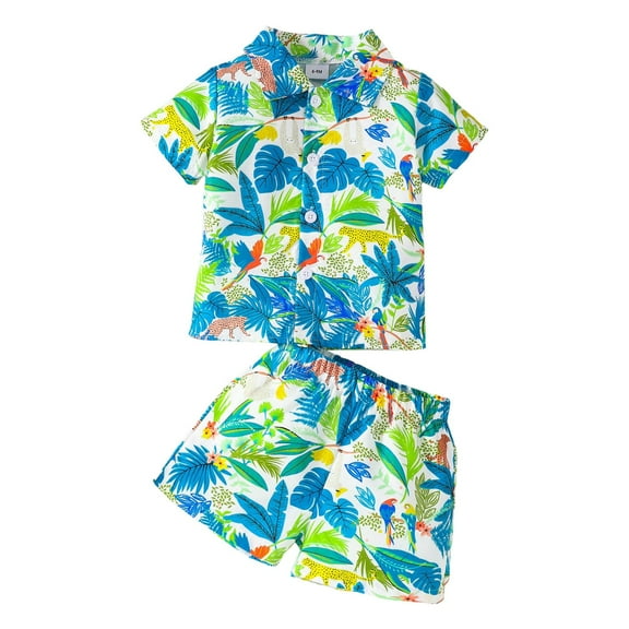 Gubotare Boys Hawaiian Outfit Toddler Summer Outfit Toddler Baby Boy Print Short Sleeve Button Down Shirt Shorts Set Boy Clothes 2Pcs Set (Light Blue,Size 9-12 Months)