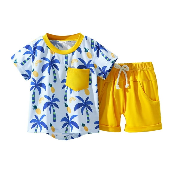 Gubotare Boys T-Shirt and Shorts Set Little Boys Graphic Tee & Shorts 2 Piece Set 12 18 Months (Sky Blue,12-18 Months)
