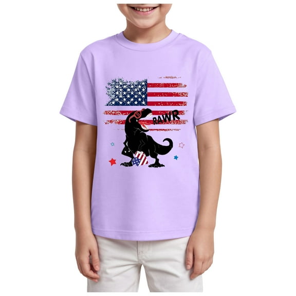 Gubotare Fourth of July Shirt Toddler Boy Boys' Graphic Tee - Soft and Breathable Classic Crewneck Short Sleeve Pullover T-Shirt for Boys (Purple,Size 13-14 Years)