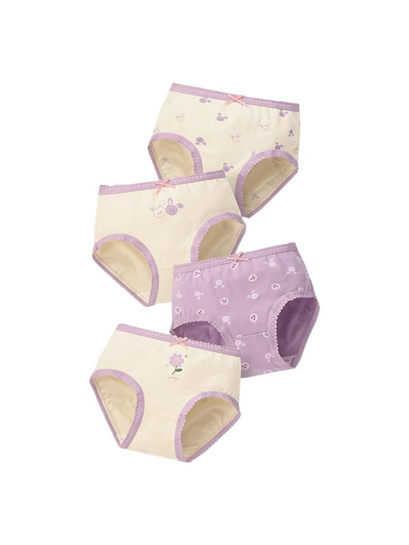 Girls Training Underwear Girls'Princess Underwear Panties Toddler Briefs 6 12 18 24 Months 2T 3T 4T 5T 6T (Purple,5-6 Years)