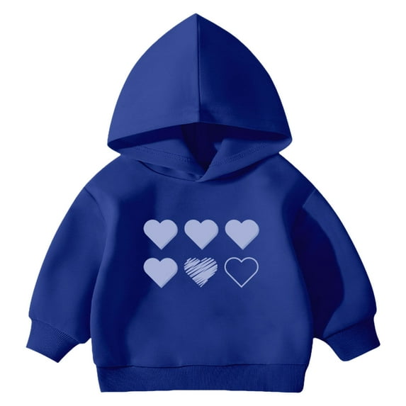 Gubotare Hoodie Boys Toddler Hooded Sweatshirt Long Sleeve for Spring and Winter Size 2T 3T (Blue,2-3 Years)