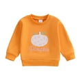 thumbnail image 1 of Gubotare Infant Sweatshirt Plain Kids Sweatshirts Girls Trendy Crewneck Sweatshirt For Girls, Toddler Pullover Sweatshirt Girls Size 18 24 Months (Orange,18-24 Months), 1 of 5