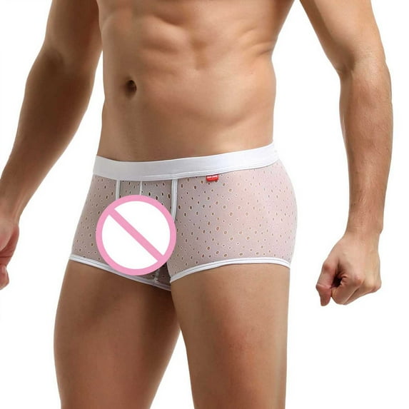 Gubotare Men'S Boxer Briefs Men's See Through Mesh Bikini Triangle Panties Low Waist Stretch Underpants,White L