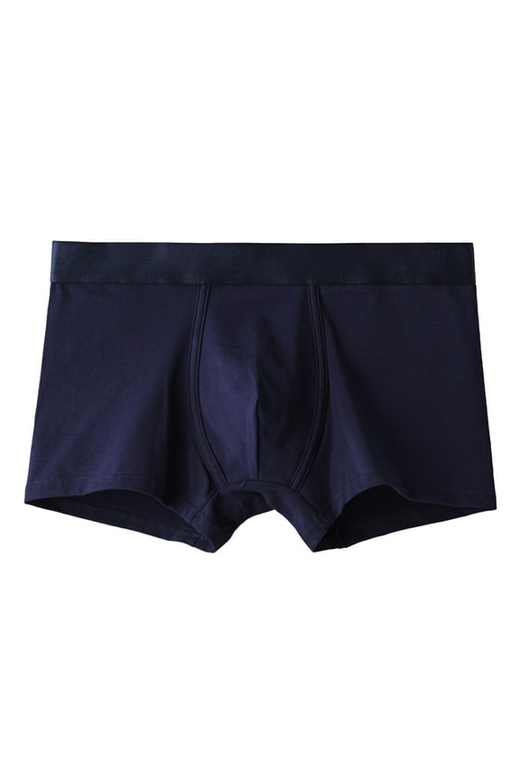 Men Underpants Men's Micro Stretch Low Rise Trunk (Blue,XXL)
