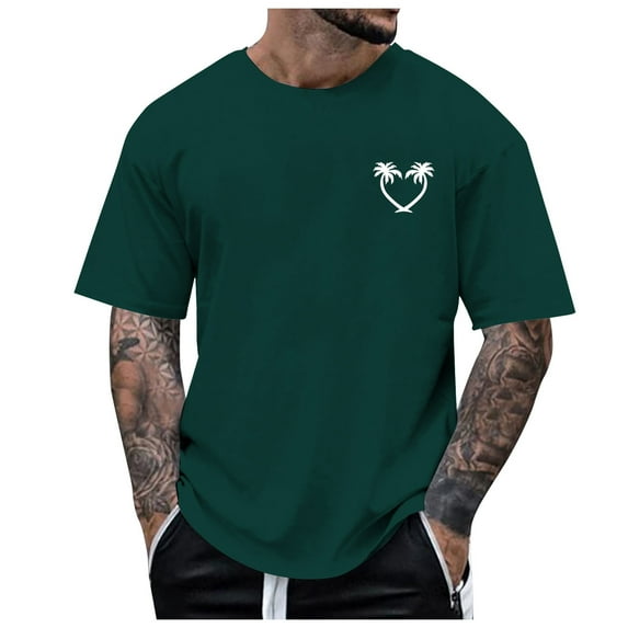 Gubotare Men's Short Sleeve Tee Shirt Crewneck Short Sleeve Tee Shirt for Men (AG,XL)