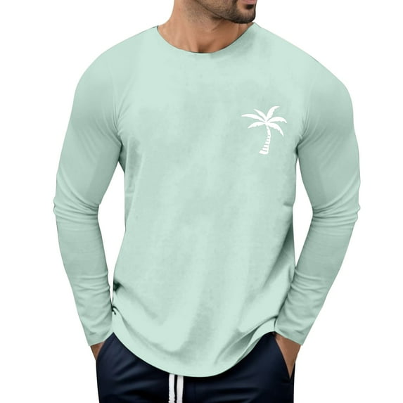 Gubotare Mens Long Sleeve T Shirts Men's Shirts Long Sleeve Workout Fishing Athletic Running Tee (Mint Green,L)