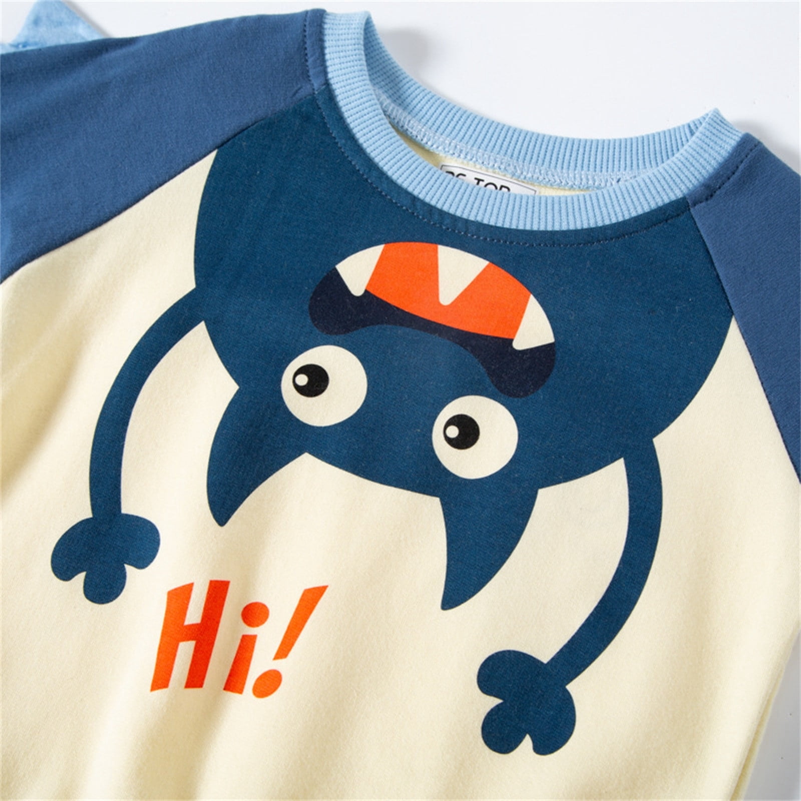 Boys Black Cotton Digital Print Sweatshirt