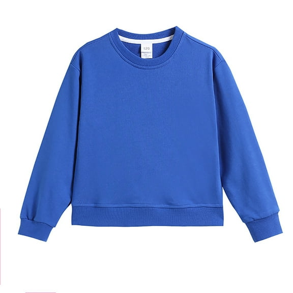 Gubotare Sweatshirts for Girls Kids Toddler Baby Girls Long Sleeve Crewneck Pullover Sweatshirt Outfits Casual Clothes Size 3T 4T (Blue,3-4 Years)