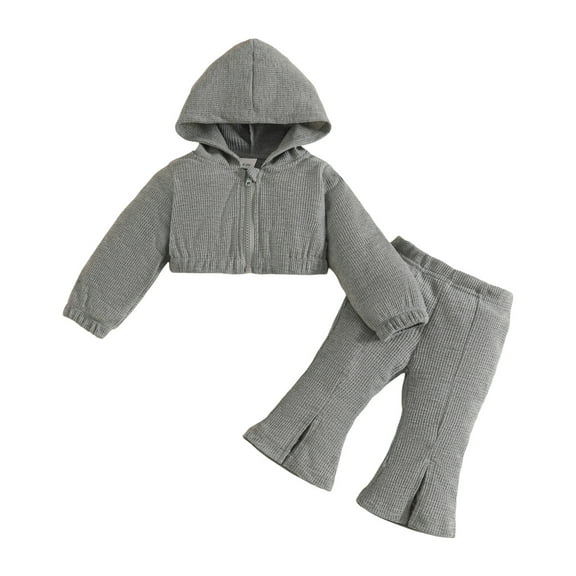 Gubotare Toddler Girls Clothing Set Toddler Baby Girl Kid Fall Winter Long Sleeve Hoodies Sweatshirt Clothes Set Size 18 24 Months (Dark Gray,18-24 Months)