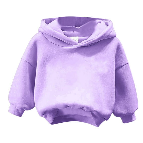 Gubotare Toddler Hoodies Boys' Sweatshirt - Cozy Soft Casual Pullover Hoodies for Boys Size 2T 3T (Purple,2-3 Years)