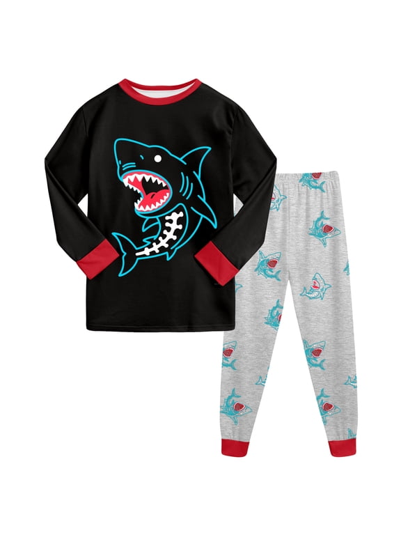 Toddler Pajamas for Boys Long Set Boys Pajamas Sets Pjs Toddler 2 Piece Long Sleeve Sleepwear Kids Clothes Sets Cartoon Print Shirts Size 3T 4T (Sky Blue,3-4 Years)