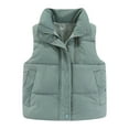 thumbnail image 1 of Gubotare Toddler Puffer Vest Girls Winter Puffer Vest Faux-Down Short Cropped Lightweight Water-Resistant Big Girls Sleeveless Jacket 2T 3T (Green,2-3 Years), 1 of 9