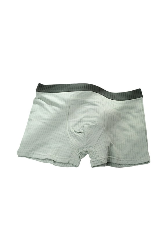 Underwear for Men Men's Underwear Boxer Briefs Soft Breathable Moisture Wicking High Performance Bamboo Viscose Underwear (Green,L)