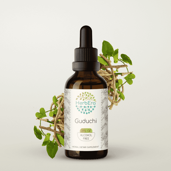 HerbEra Guduchi Tincture, Herbal Dietary Supplement for Immune Support, Guduchi (Tinospora cordifolia) Dried Stem Extract, Natural, Alcohol-Free, Drops 2 oz