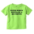 thumbnail image 1 of Guess A Big Sister Older Family Siblings Youth T Shirt Tee Girls Infant Toddler Brisco Brands 18M, 1 of 5