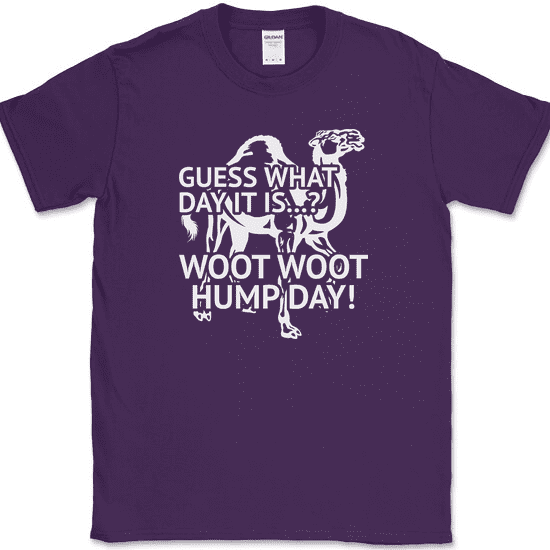 Guess What Day It Is Woot Woot Hump Day T-Shirt Funny Wednesday
