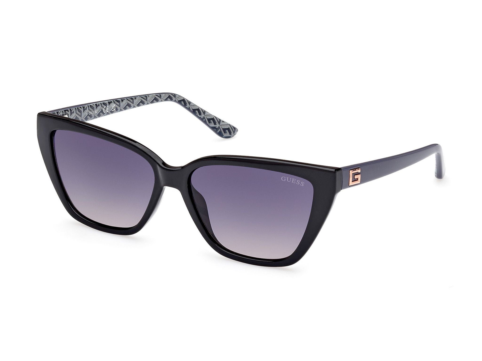Alpina Fleek Bril - black-silver shiny / black