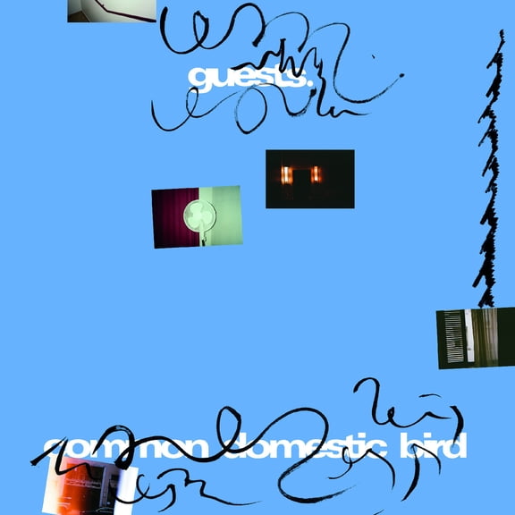 Guests - Common Domestic Bird - Music & Performance - Vinyl