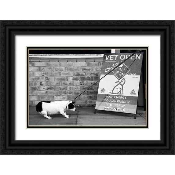 Gugeri, Deborah 24x17 Black Ornate Wood Framed with Double Matting Museum Art Print Titled - No-No.....Definitely No....!