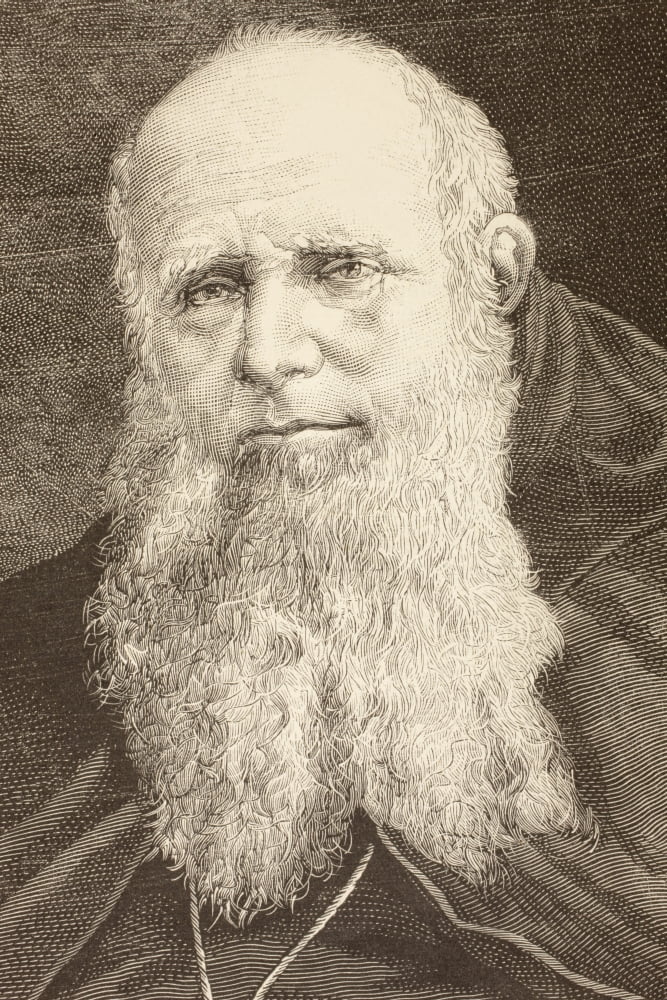 Guglielmo Massaia 1809 To 1889 Italian Catholic Missionary Capuchin And Cardinal From A 19Th Century Illustration Canvas Art - Ken Welsh Design Pics (22 x 34)