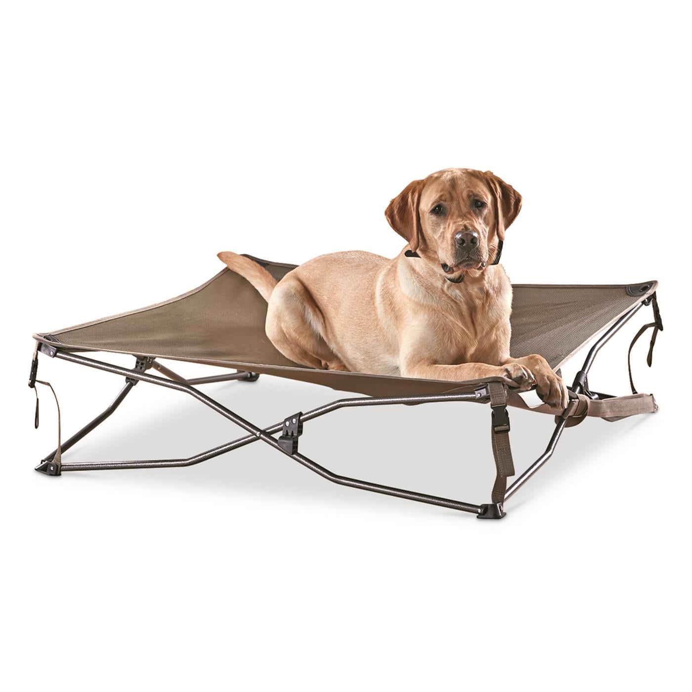 Guide Gear Dog Bed with Elevated Bed Frame, Raised Outdoor Pet Couch, Cot, Dura Mesh