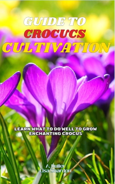 Guide to Crocus Cultivation: Learn what to do well to grow enchanting ...