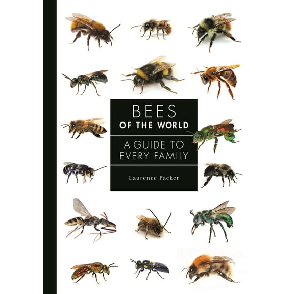Guide to Every Family Bees of the World: A Guide to Every Family, Book 5, (Hardcover)