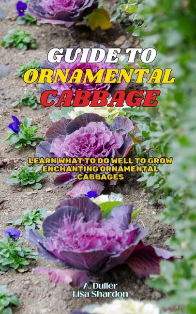 Guide to Growing Ornamental Cabbage: Learn what to do well to grow ...