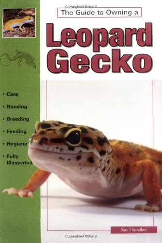 Pre-Owned The Guide to Owning a Leopard Gecko/ Leopard Geckos ...