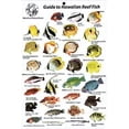 thumbnail image 1 of Guide to Reef Fish Hawaiian Islands ID Card Travel 6x9 BK12, 1 of 1