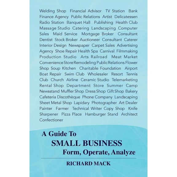 A Guide to Small Business Form, Operate, Analyze (Paperback)
